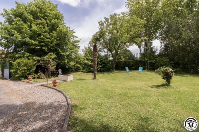 31G101045-ce018350dccf4e67881957cf27728c7b