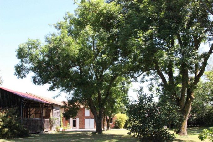 31G101045-cffdf31b0e0b4a29ad216e1bc6881b56