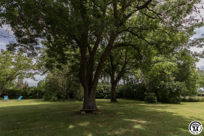 31G101045-d8228c7478064560a946ec3e00711126