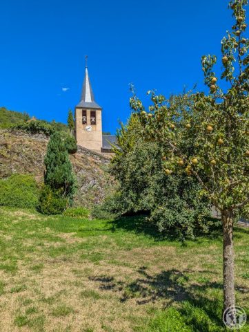 31G101052-5f24d403e927470ab31d5fff3a38d999