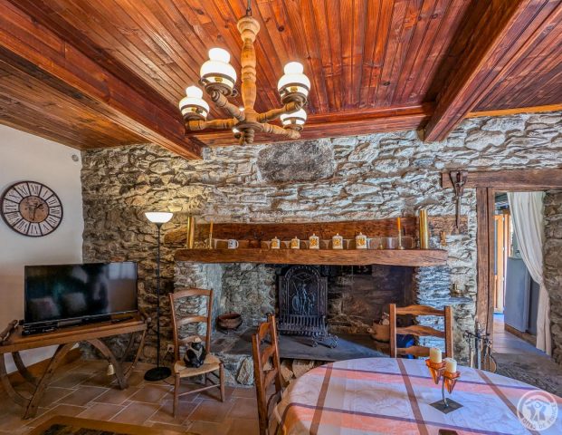 31G101052-8ccf33190600458498d19064552c5206