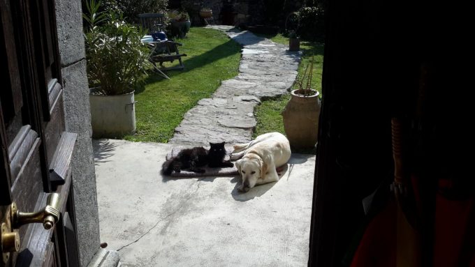 31G101054-2e9e514dbf414e0f837e14516e4cc1aa