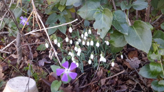 31G101054-ff1f465cf4cc49db8524ad0b89d90259