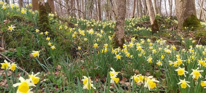 31G101056-64e5042b03234eb8b334c4c4661081e2