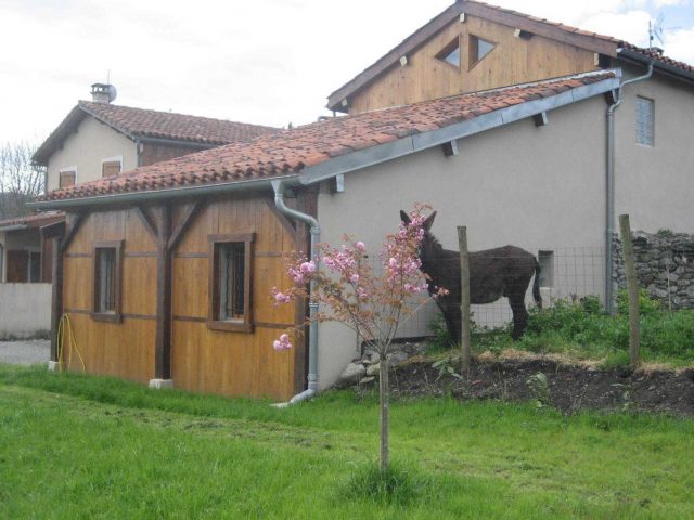 31G101056-689ae0de02844ad0aeb79efde7161c26