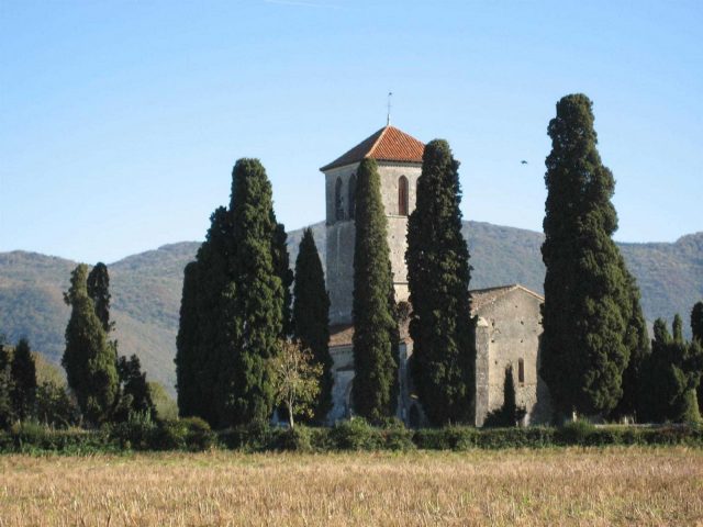 31G101056-90f14329f89d48bea2de755308c7ca89