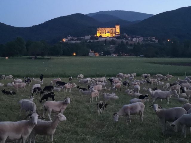 31G101056-a82167a52c75443fb7a62f1290af12d8