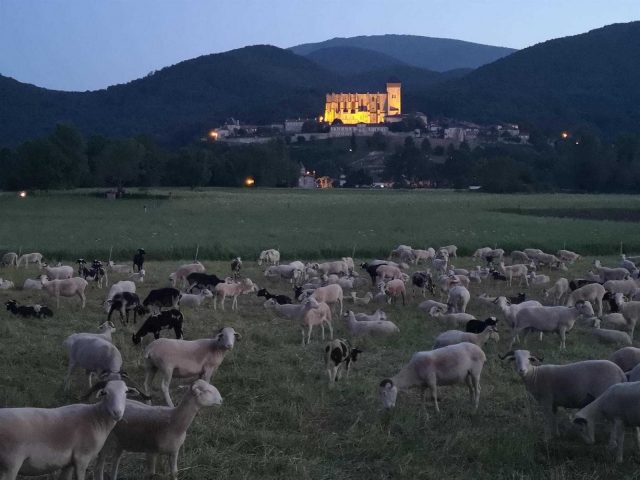 31G101056-e3de1b9d93914a1ba1d4366f96714276