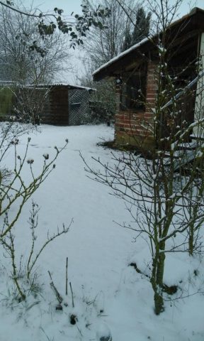 31G101092-a9f0375df50640d9a432b1edfa1fce05