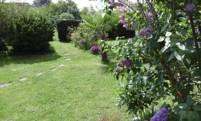 31G101092-beaa473271fd4ec7b19a1d43ef645d65