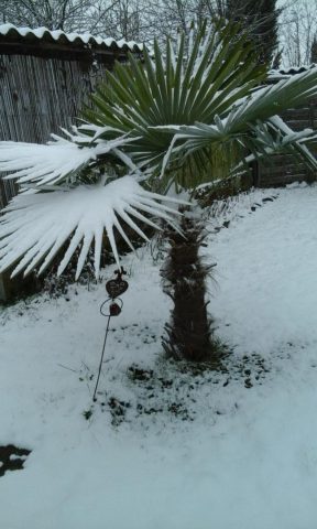 31G101092-c40ce36365614aec96c1ae19008b463e