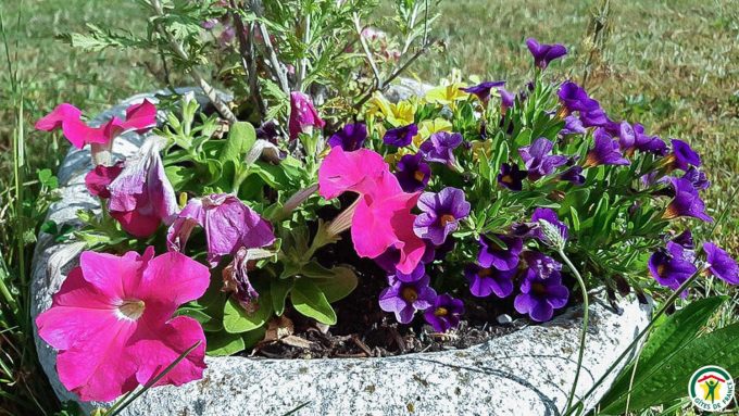 31G101092-fa77c58ccd294952bf18ff3d55afad72