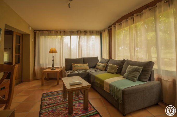 31G101102-3ba64a599cd34d62907b6854f8ef1697