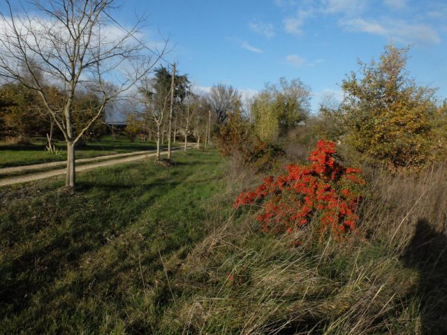 31G101102-5739c5a5c0064780bbd29ca3003044ed