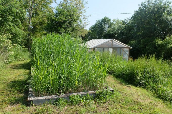 31G101102-7b997fa4dae045db81eac793938d2cda