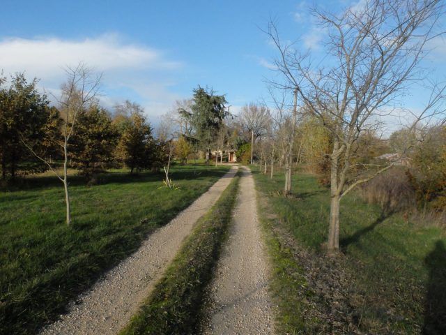 31G101102-97d44513b06c409e98717d11b925c485