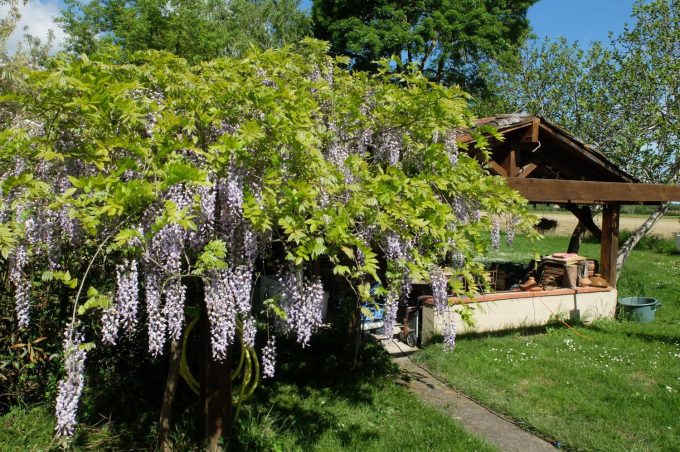 31G101102-b6b4e923d6df43cfa3cd88ea0ae936a3