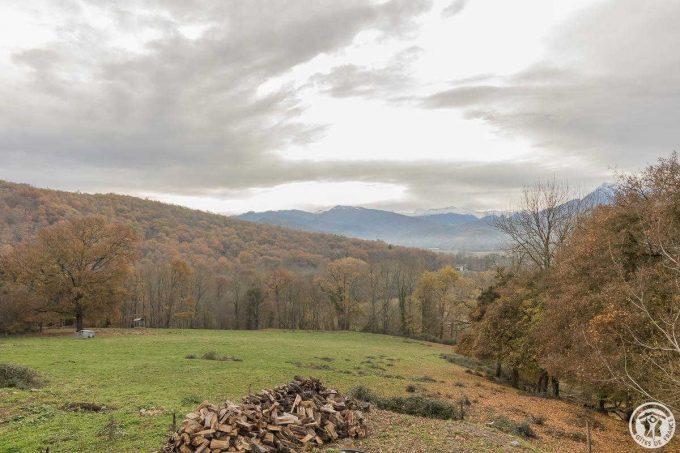 31G101116-7aacf6469ddd4ba58f1ebd3e87f2dc18