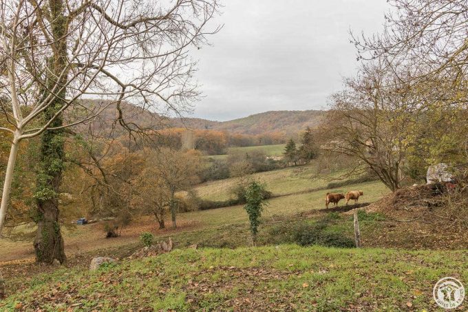 31G101116-98afee4b9b594bea8ac0307dd2d3d560