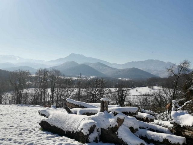 31G101116-be7f3778c5504f68be9a08d49d89cd15