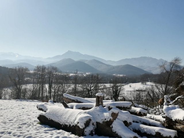 31G101116-dada7bbf99fb4190849188ad85aa3e5d