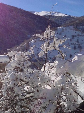 31G101117-96db93bb70ad47509e716c0660e72b58