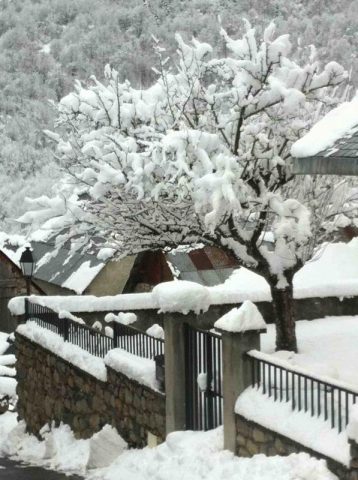 31G101140-d5dd4afb338147c1a9d336861c8a9383