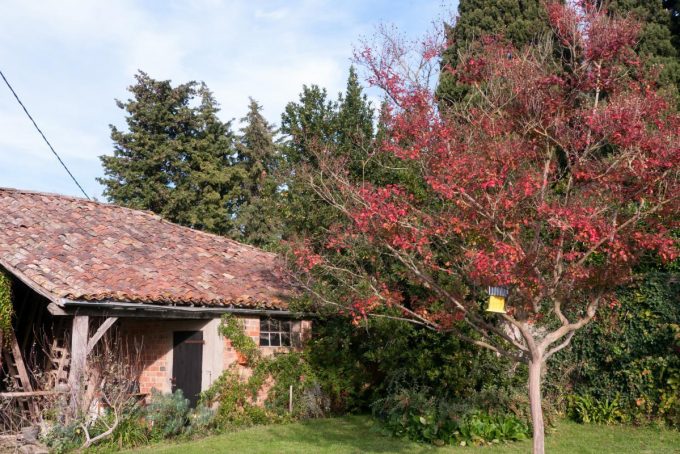 31G101170-704dcc336fb94741945f7bb5585a8c61