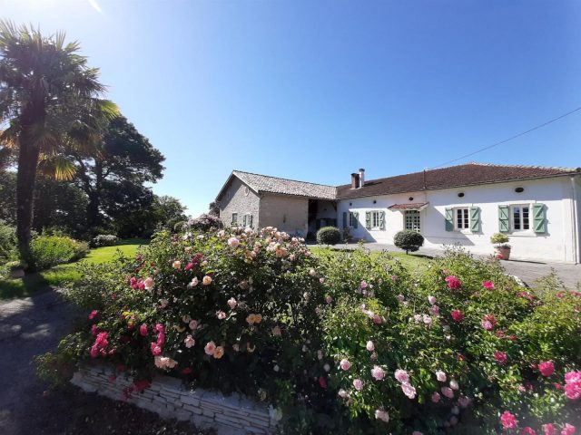 31G101170-c2dfd9be67604d0292e51e5bc18c7dd6