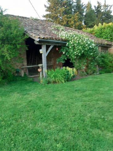 31G101170-e90ed49e4f8f46b69cff75ee50fc78c2