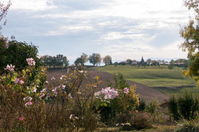 31G101170-ee3a3197782c4af3ad3bbc84fb19a3c7