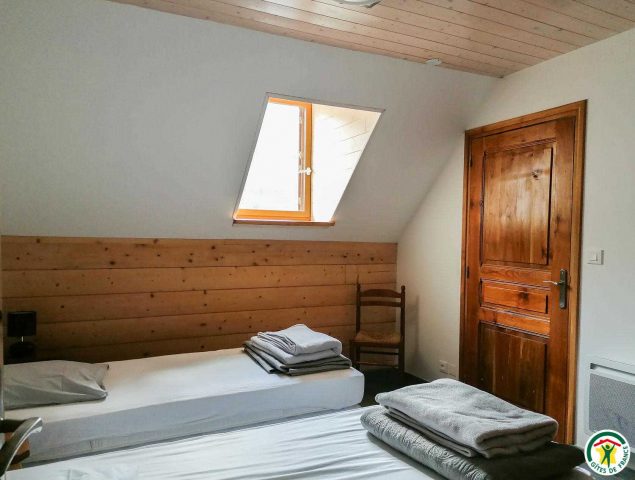 31G101175-4627fc358e1d42abbf665106bcb3ab3a