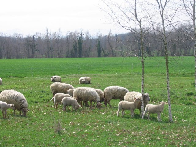 31G101199-37c24f4b874944b78169b17f61879c5b