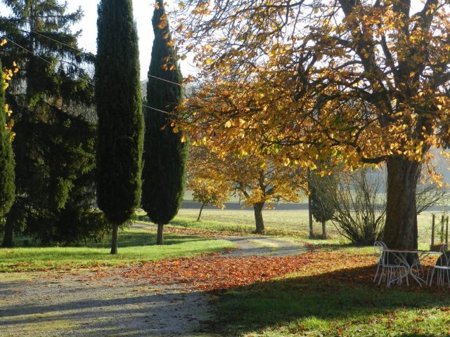 31G101199-6707dabb713b4a0c85685b3431f2c883