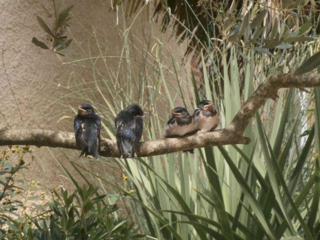 31G101199-8a6e1c002cdf4f6c9d01c927218c7a6b