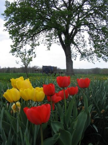 31G101199-ae0a7173be614bd9b3a0f92c9dac6639