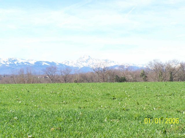 31G101201-01ba8db5bdf74d1f9996d11c2849f5bf