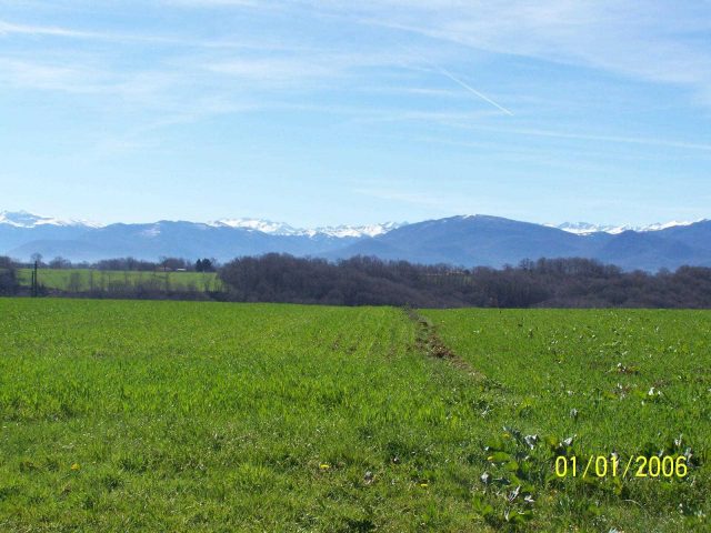 31G101201-0eda567f28b34cf296ba59d8fb97ee59