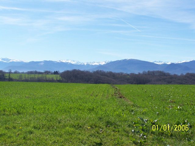 31G101201-24199a10ba494b179b9cf9e25b6319b0