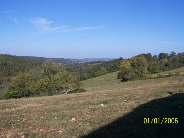 31G101201-277369ffabb5444291f927f641786860