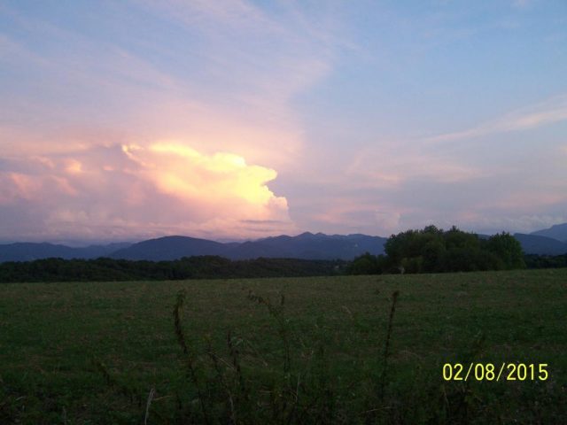 31G101201-31f88b77bb394d4890f2f52820b5581b