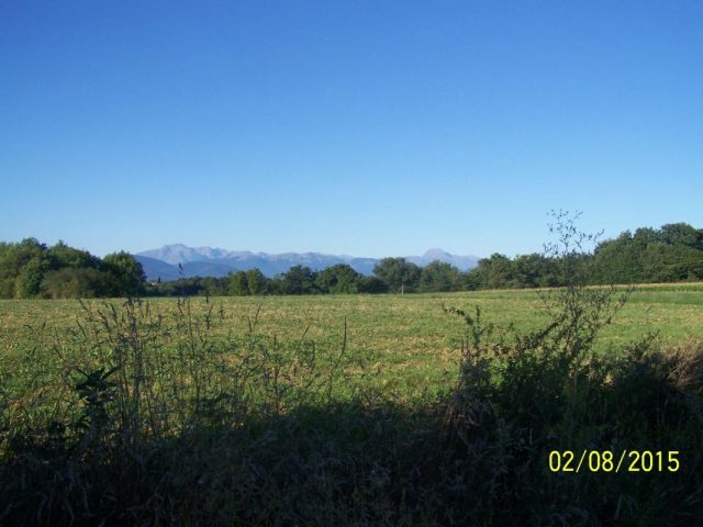 31G101201-3e350afce9e34807824175e3bb7b95dc