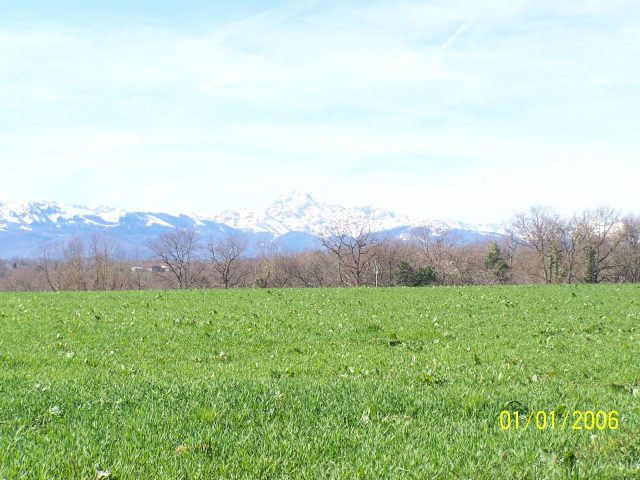 31G101201-617e25edaad24fd4a8840d3e7a421092