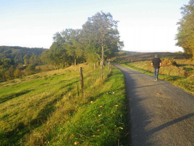 31G101201-6396113d2c774425819be886aec2d831