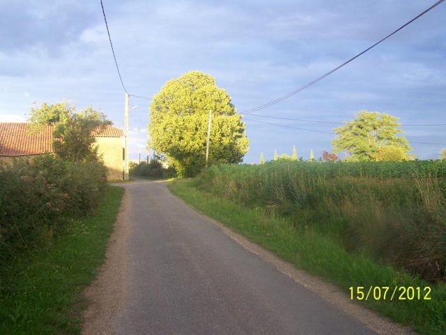 31G101201-91e2e9e63d3a4644a8b1e14d133c1c14