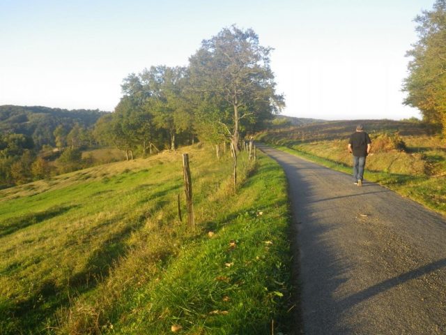 31G101201-da499e01db78404799b7972ce1b249bf