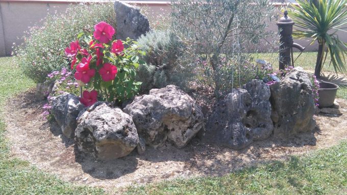 31G101202-00d26137301140e2a71c34c3b1fa3ca6