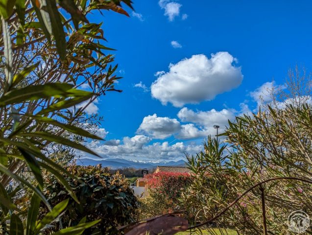 31G101202-0314a45e16044fe1829a522eb937d074