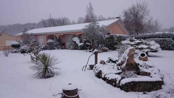 31G101202-16af9170b6a64176a7e314e561875390