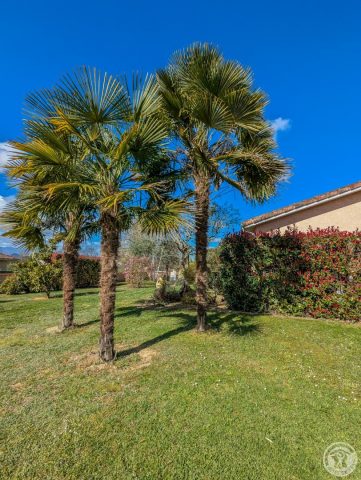 31G101202-2b6a6ae8c6e14fafac1d0b7b299b1156